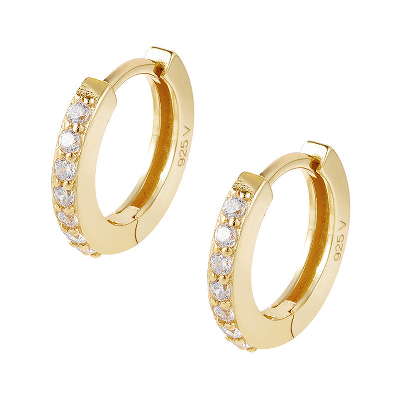 S925 Sterling Silver Diamond Single Row Zircon Earrings